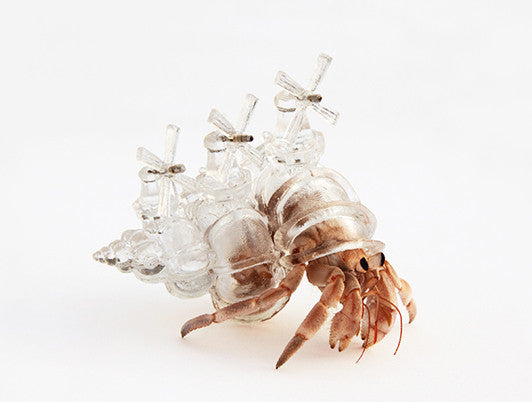Japanese artist Aki Inomata's 3D printed cities for hermit crabs